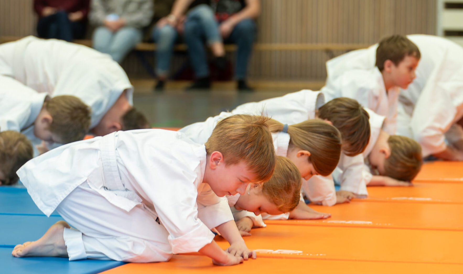 Aikido Testing & Demonstration
